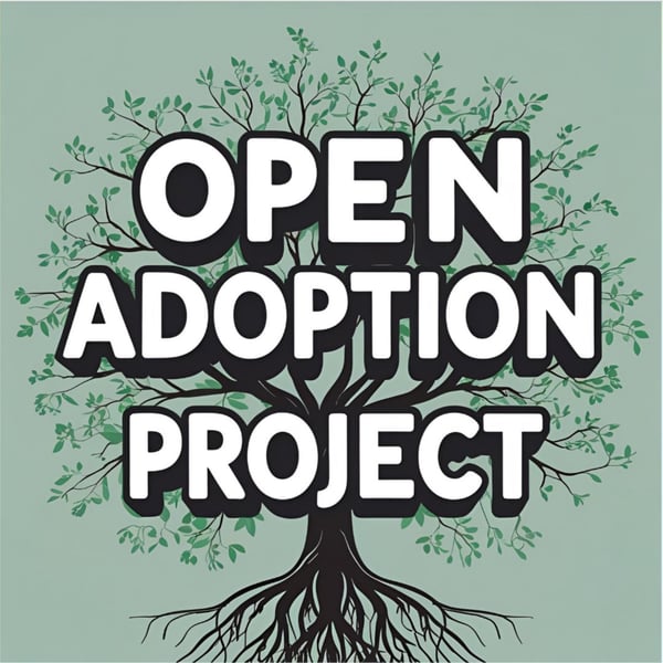 Open Adoption Project
